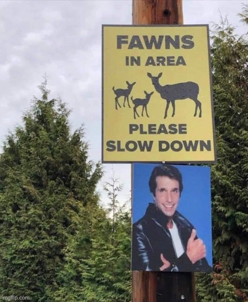 Fonz | image tagged in bad pun | made w/ Imgflip meme maker