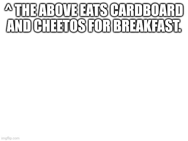 The guy who made the meme | ^ THE ABOVE EATS CARDBOARD AND CHEETOS FOR BREAKFAST. | image tagged in lmao | made w/ Imgflip meme maker