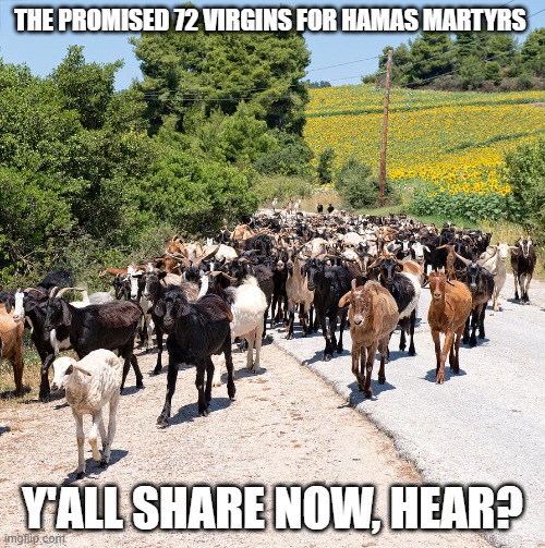 The 72 virgins | THE PROMISED 72 VIRGINS FOR HAMAS MARTYRS; Y'ALL SHARE NOW, HEAR? | image tagged in the 72 virgins | made w/ Imgflip meme maker