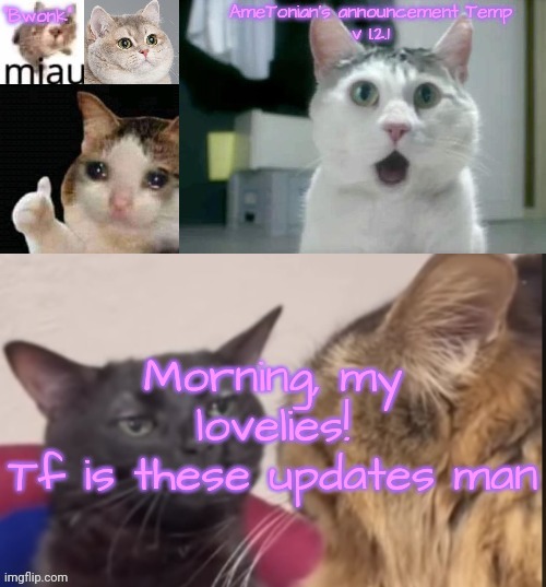 AmeTonian's announcement Temp v 1.2.1 | Morning, my lovelies!
Tf is these updates man | image tagged in ametonian's announcement temp v 1 2 1 | made w/ Imgflip meme maker
