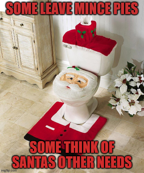 santas loo | SOME LEAVE MINCE PIES; SOME THINK OF SANTAS OTHER NEEDS | image tagged in santa,toilet,christmas decorations | made w/ Imgflip meme maker