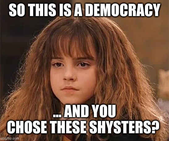 Hermione - You chose these shysters? | SO THIS IS A DEMOCRACY; ... AND YOU CHOSE THESE SHYSTERS? | image tagged in dissapointed hermione | made w/ Imgflip meme maker
