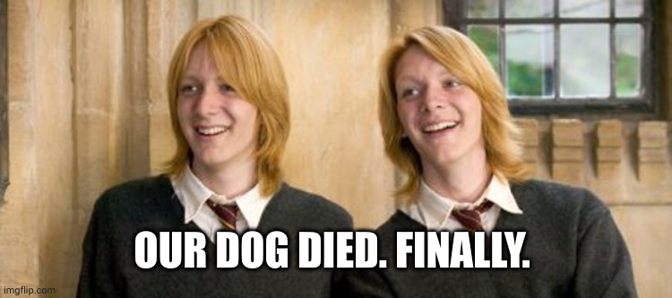 weasley twins | OUR DOG DIED. FINALLY. | image tagged in weasley twins | made w/ Imgflip meme maker