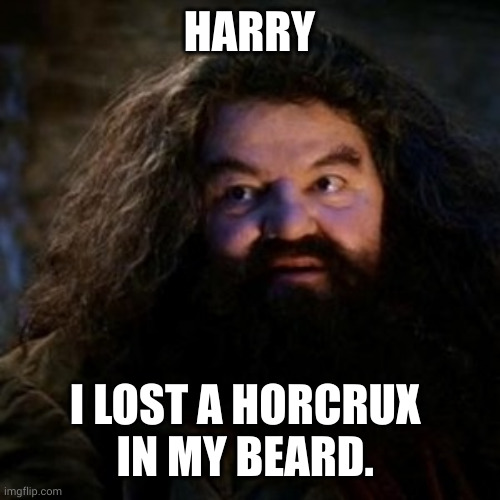 You're a wizard harry | HARRY; I LOST A HORCRUX 
IN MY BEARD. | image tagged in you're a wizard harry | made w/ Imgflip meme maker