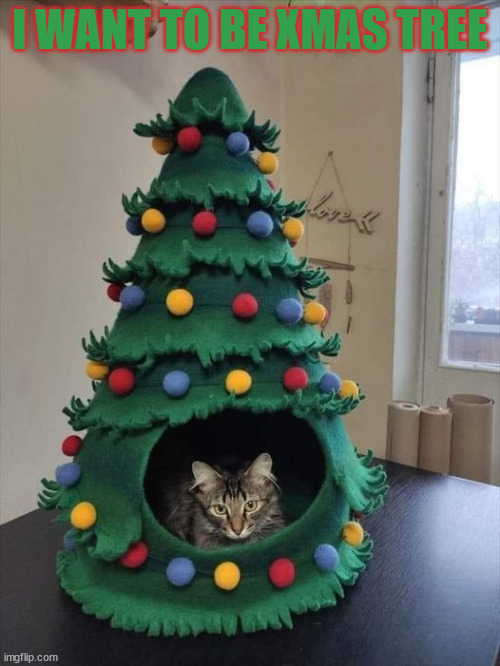 Tree cat | I WANT TO BE XMAS TREE | image tagged in cats,christmas tree | made w/ Imgflip meme maker
