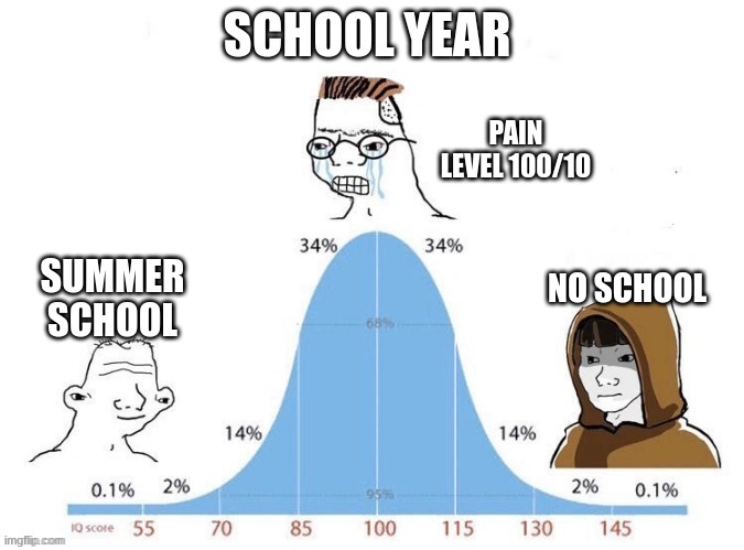 haha | SCHOOL YEAR; PAIN LEVEL 100/10; NO SCHOOL; SUMMER SCHOOL | image tagged in bell curve | made w/ Imgflip meme maker