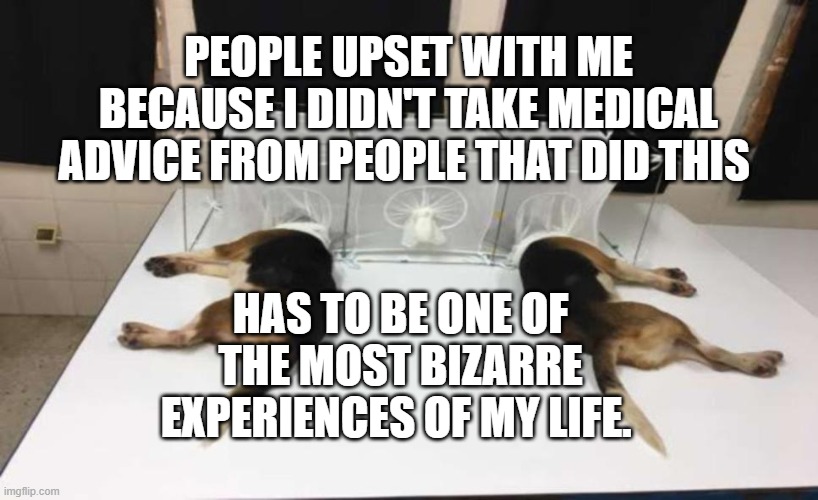 Fauci Beagles | PEOPLE UPSET WITH ME BECAUSE I DIDN'T TAKE MEDICAL ADVICE FROM PEOPLE THAT DID THIS; HAS TO BE ONE OF THE MOST BIZARRE EXPERIENCES OF MY LIFE. | image tagged in fauci beagles | made w/ Imgflip meme maker