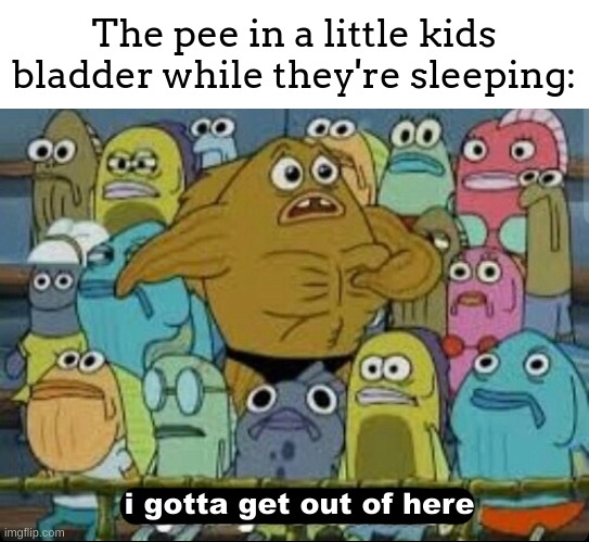 I've almost never wet the bed when I was that age | The pee in a little kids bladder while they're sleeping:; i gotta get out of here | image tagged in i gotta get outta here spongebob,meme,pee,bladder,little kids | made w/ Imgflip meme maker