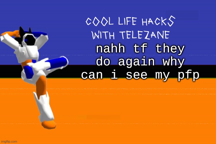 cool life hacks with telezane | nahh tf they do again why can i see my pfp | image tagged in cool life hacks with telezane | made w/ Imgflip meme maker