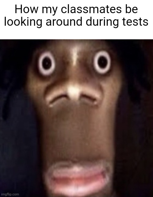 Quandale dingle | How my classmates be looking around during tests | image tagged in quandale dingle | made w/ Imgflip meme maker