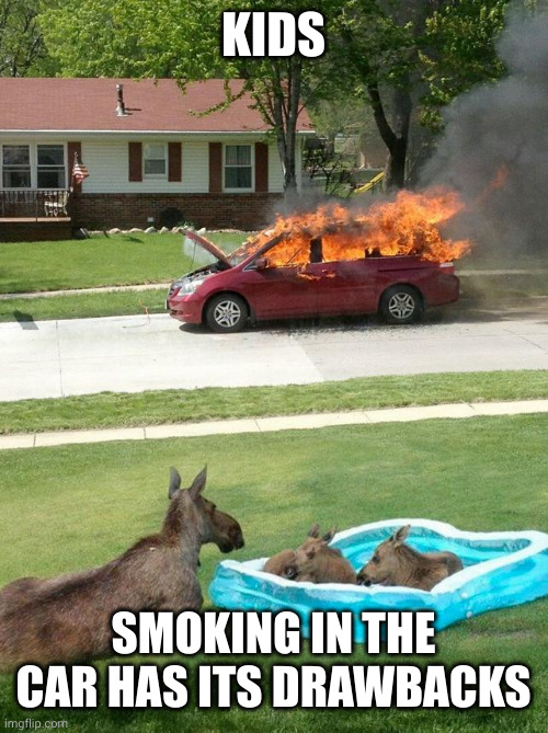 Canada watching US politics | KIDS; SMOKING IN THE CAR HAS ITS DRAWBACKS | image tagged in canada watching us politics | made w/ Imgflip meme maker