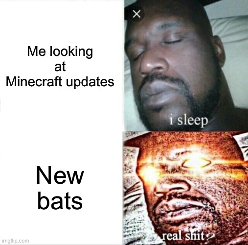 Sleeping Shaq | Me looking at Minecraft updates; New bats | image tagged in memes,sleeping shaq | made w/ Imgflip meme maker