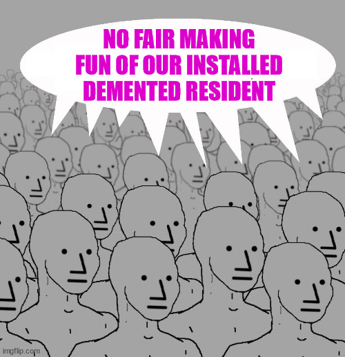 Npc | NO FAIR MAKING FUN OF OUR INSTALLED DEMENTED RESIDENT | image tagged in npc | made w/ Imgflip meme maker