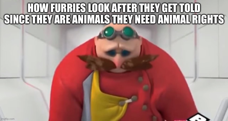 Sonic Boom - Sad Eggman | HOW FURRIES LOOK AFTER THEY GET TOLD SINCE THEY ARE ANIMALS THEY NEED ANIMAL RIGHTS | image tagged in sonic boom - sad eggman | made w/ Imgflip meme maker
