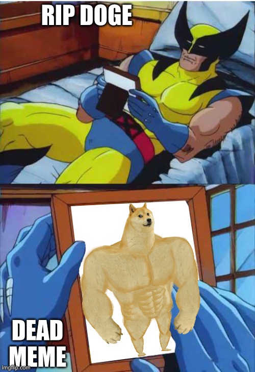 Wolverine Remember | RIP DOGE; DEAD MEME | image tagged in wolverine remember | made w/ Imgflip meme maker
