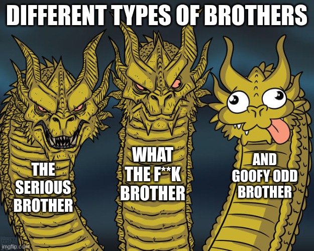 Three-headed Dragon | DIFFERENT TYPES OF BROTHERS; WHAT THE F**K BROTHER; AND GOOFY ODD BROTHER; THE SERIOUS BROTHER | image tagged in three-headed dragon | made w/ Imgflip meme maker