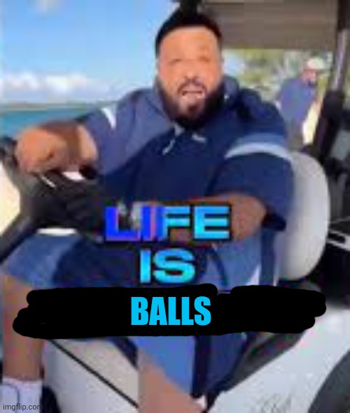 Life is Roblox | BALLS | image tagged in life is roblox | made w/ Imgflip meme maker