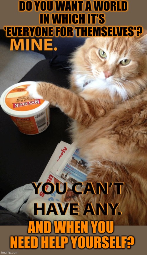 This #lolcat wonders why many people are selfish | DO YOU WANT A WORLD
IN WHICH IT'S 
'EVERYONE FOR THEMSELVES'? AND WHEN YOU 
NEED HELP YOURSELF? | image tagged in selfishness,selfish,lolcat,think about it | made w/ Imgflip meme maker