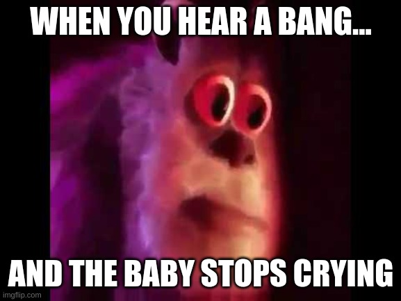 Sully Groan | WHEN YOU HEAR A BANG... AND THE BABY STOPS CRYING | image tagged in sully groan | made w/ Imgflip meme maker