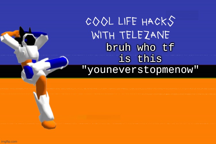cool life hacks with telezane: bruh who tf are you lmao | bruh who tf is this "youneverstopmenow" | image tagged in cool life hacks with telezane | made w/ Imgflip meme maker