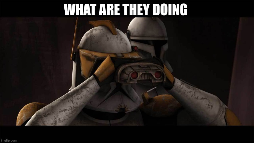 clone commander cody | WHAT ARE THEY DOING | image tagged in clone commander cody | made w/ Imgflip meme maker