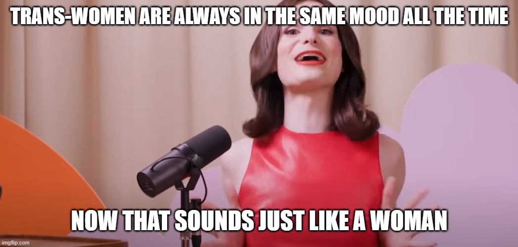 Dylan Mulvaney | TRANS-WOMEN ARE ALWAYS IN THE SAME MOOD ALL THE TIME NOW THAT SOUNDS JUST LIKE A WOMAN | image tagged in dylan mulvaney | made w/ Imgflip meme maker