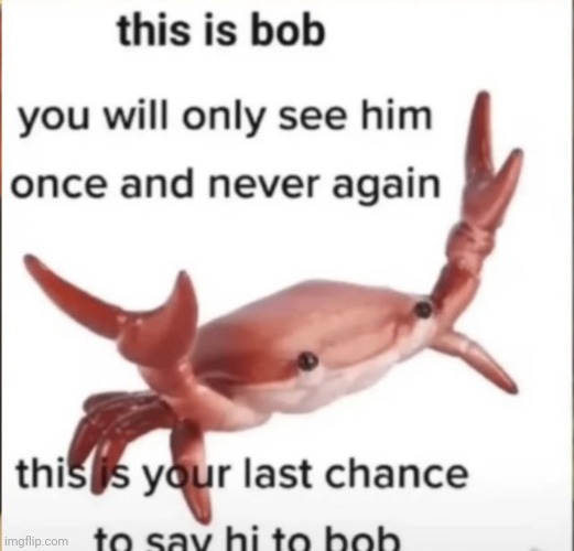 Bob | made w/ Imgflip meme maker