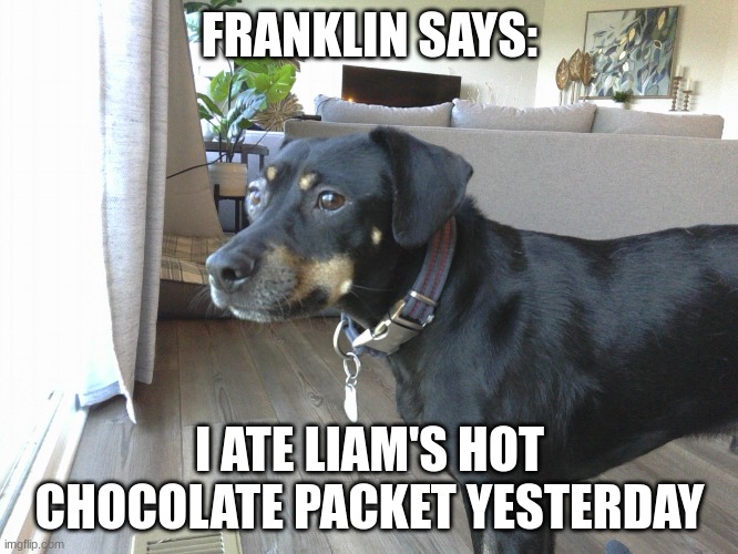 franklin says | FRANKLIN SAYS:; I ATE LIAM'S HOT CHOCOLATE PACKET YESTERDAY | image tagged in franklin says | made w/ Imgflip meme maker