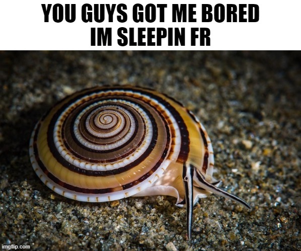 im sleepin fr | image tagged in im sleepin fr | made w/ Imgflip meme maker