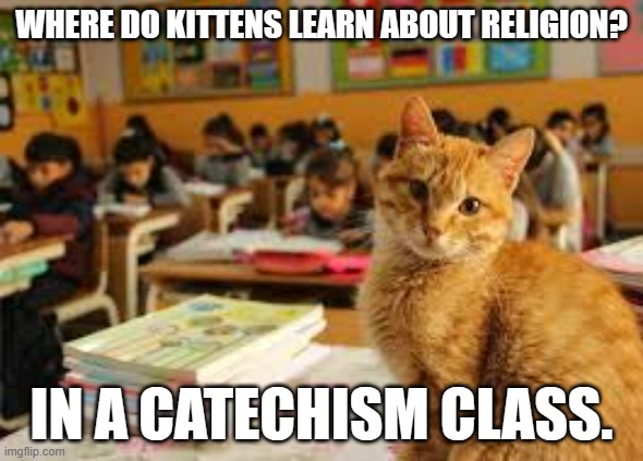 meme by Brad where cats learn religion | WHERE DO KITTENS LEARN ABOUT RELIGION? IN A CATECHISM CLASS. | image tagged in cat meme | made w/ Imgflip meme maker