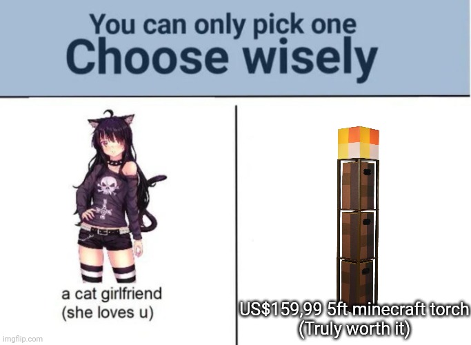 Choose wisely | US$159,99 5ft minecraft torch
(Truly worth it) | image tagged in choose wisely | made w/ Imgflip meme maker