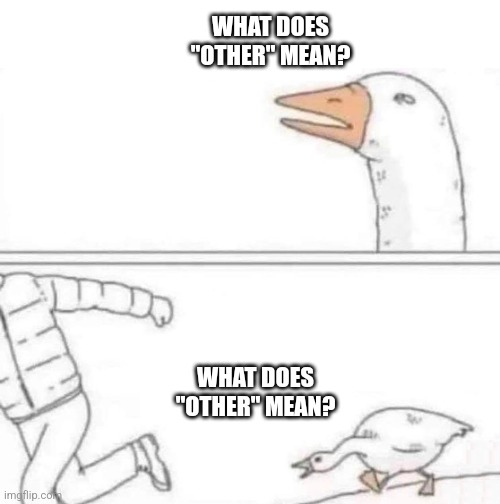 Goose Chase Imgflip