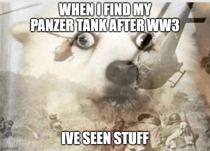 .....w..w..3.. | WHEN I FIND MY PANZER TANK AFTER WW3; IVE SEEN STUFF | image tagged in ptsd dog | made w/ Imgflip meme maker