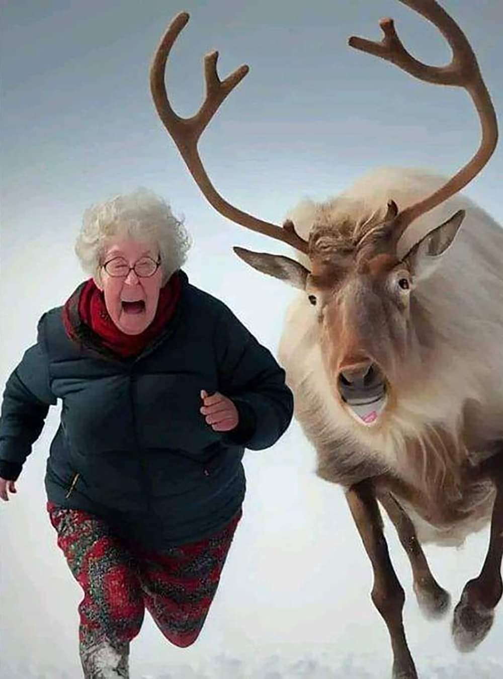 High Quality Grandma got ran over by a reindeer Blank Meme Template