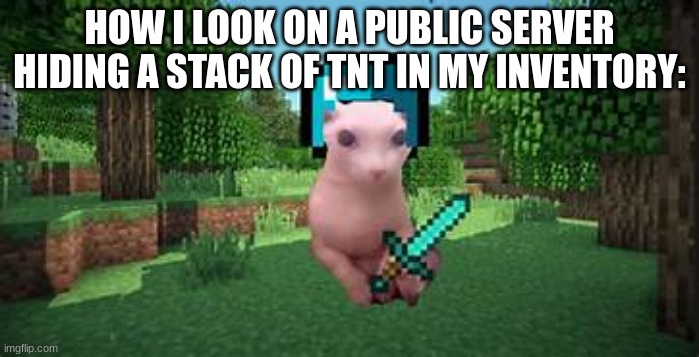 bingus go boom | HOW I LOOK ON A PUBLIC SERVER HIDING A STACK OF TNT IN MY INVENTORY: | image tagged in bingus playing minecraft | made w/ Imgflip meme maker