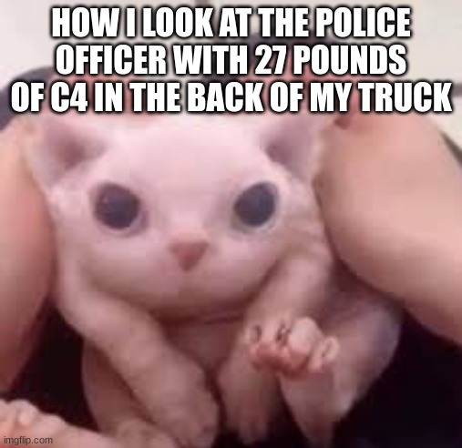 shitpost | HOW I LOOK AT THE POLICE OFFICER WITH 27 POUNDS OF C4 IN THE BACK OF MY TRUCK | image tagged in scrunched bingus | made w/ Imgflip meme maker