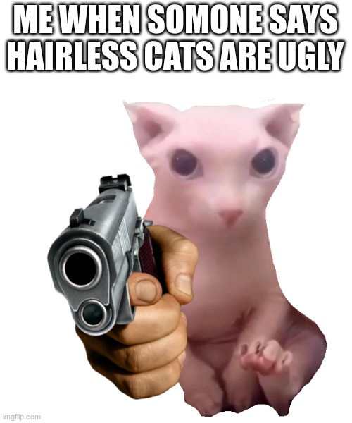 bingus | ME WHEN SOMONE SAYS HAIRLESS CATS ARE UGLY | image tagged in gun bingus,bingus | made w/ Imgflip meme maker