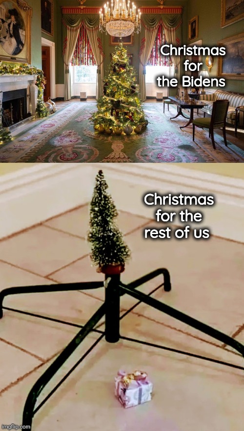 Do you get it yet ? | Christmas for the Bidens; Christmas for the rest of us | image tagged in bidenomics,for the elites,not the peasants,arrogant,rich,politicians suck | made w/ Imgflip meme maker