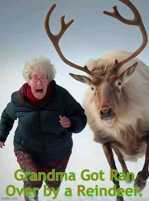 Grandma Got Ran Over by a Reindeer | Grandma Got Ran Over by a Reindeer. | image tagged in grandma,reindeer,christmas | made w/ Imgflip meme maker