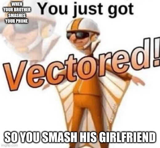 You just got vectored | WHEN YOUR BROTHER SMASHES YOUR PHONE; SO YOU SMASH HIS GIRLFRIEND | image tagged in you just got vectored | made w/ Imgflip meme maker