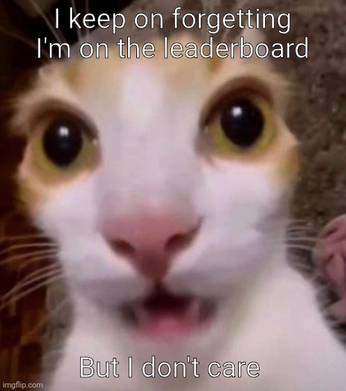 I keep on forgetting I'm on the leaderboard; But I don't care | made w/ Imgflip meme maker
