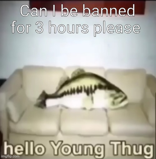Hello Young Thug | Can I be banned for 3 hours please | image tagged in hello young thug | made w/ Imgflip meme maker