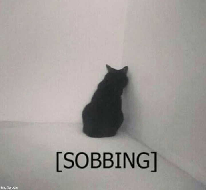 Sobbing cat | image tagged in sobbing cat | made w/ Imgflip meme maker