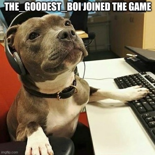 gamer dog | THE_GOODEST_BOI JOINED THE GAME | image tagged in pit bull tech support | made w/ Imgflip meme maker