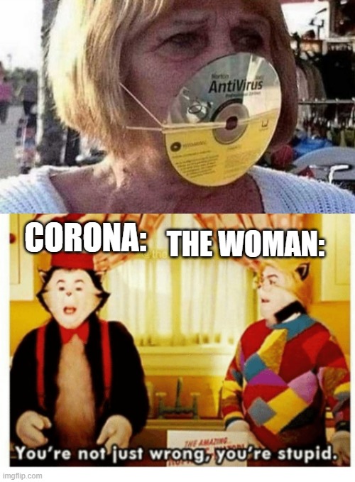 An AntiVirus disk? | CORONA:; THE WOMAN: | image tagged in you're not just wrong your stupid | made w/ Imgflip meme maker