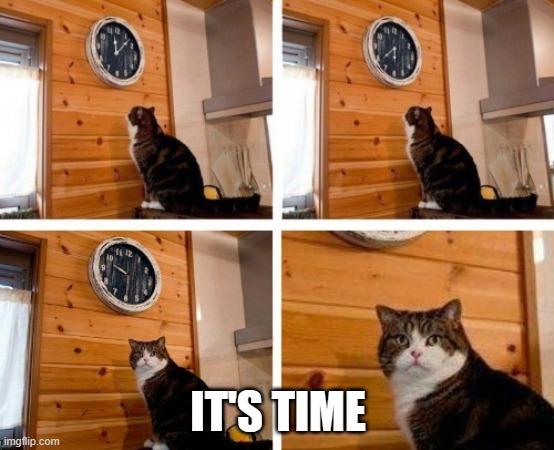 Cat clock its time | IT'S TIME | image tagged in cat clock its time | made w/ Imgflip meme maker