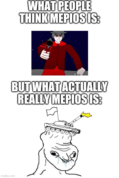 he is idiot and he say furries are Na*i, bro pls stfu(batim:mepios is nothing but a piece of shit, agreed) | WHAT PEOPLE THINK MEPIOS IS:; BUT WHAT ACTUALLY REALLY MEPIOS IS: | image tagged in funny,meios sucks | made w/ Imgflip meme maker