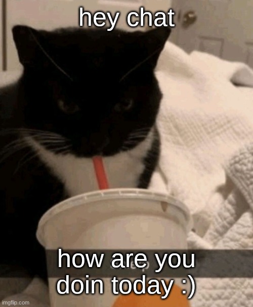 Shlerp | hey chat; how are you doin today :) | image tagged in shlerp | made w/ Imgflip meme maker