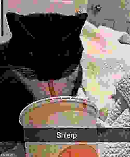 Shlerp | image tagged in shlerp | made w/ Imgflip meme maker