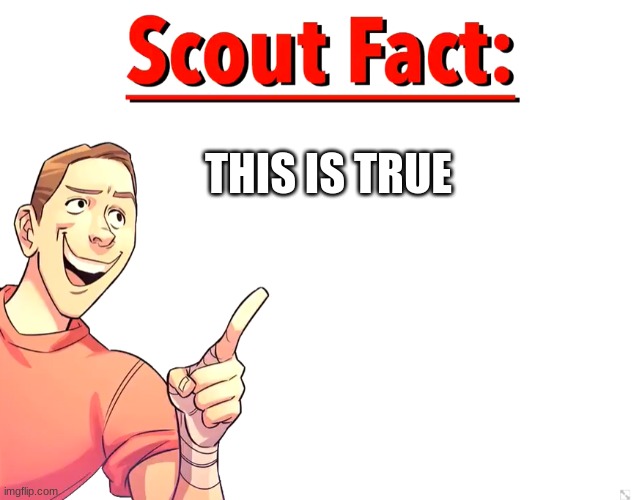 Scout Fact | THIS IS TRUE | image tagged in scout fact | made w/ Imgflip meme maker